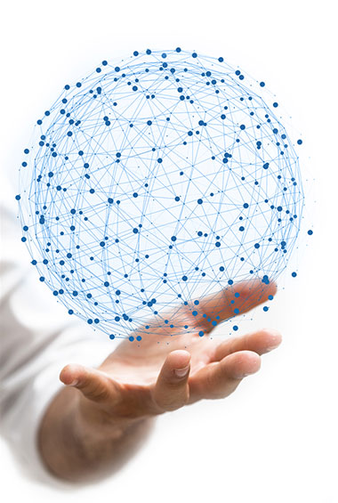 Online Premium Audits