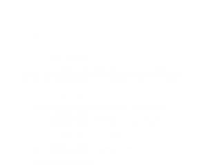 Twitter logo for website